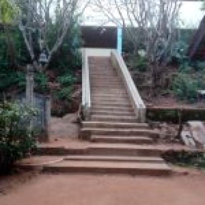 පාසල